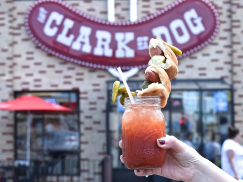 Clark Street Dog image