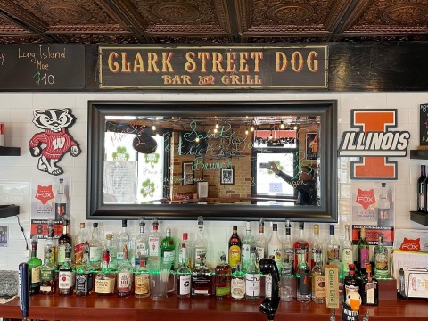 Clark Street Dog image