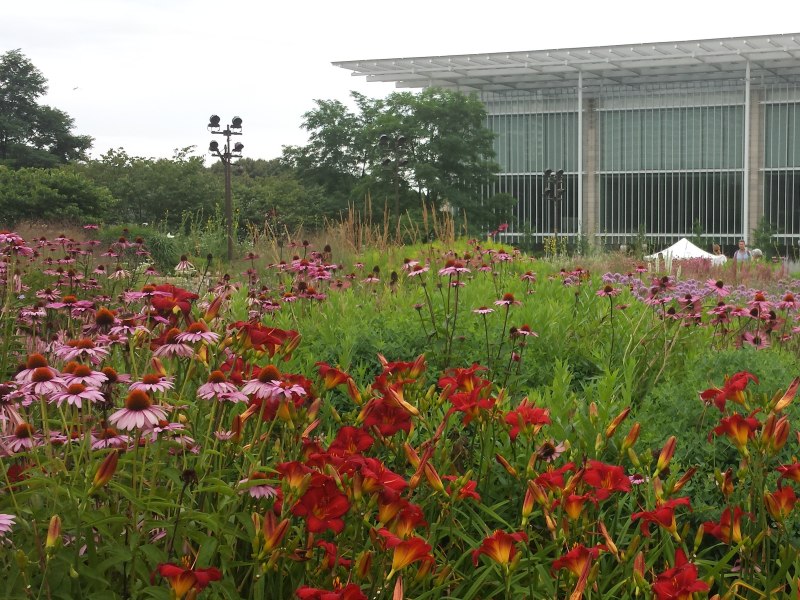 Lurie Garden image