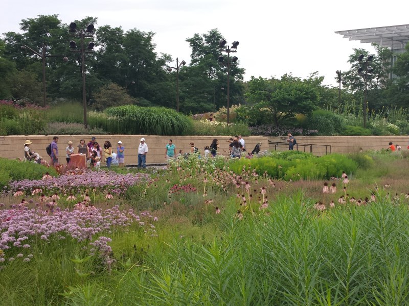 Lurie Garden image