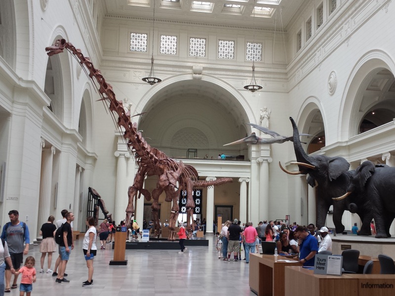 Field Museum image