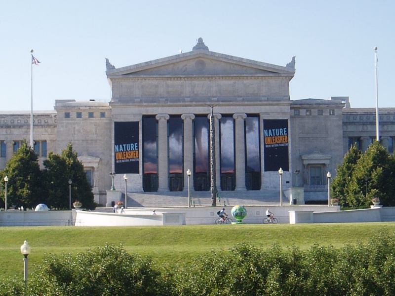 Field Museum image