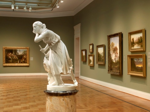 Saint Louis Art Museum Gallery